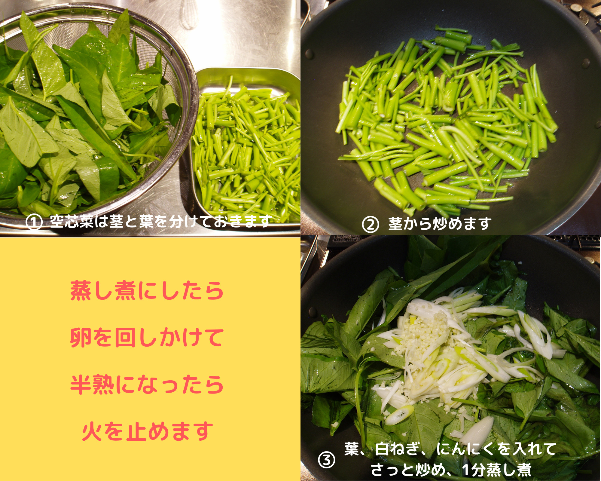 空 芯 菜 の 栄養